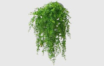 Artificial Hanging Vines