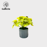 Artificial Table Money Plant