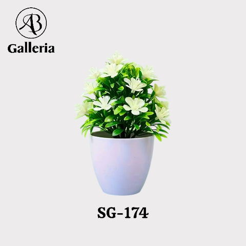 Mini Pots  Dia:4" SG-174 Set of 12 Pcs