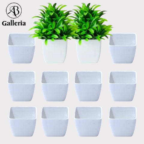 Mini Pot Set Of 12 Pcs Dia:3" SG-176