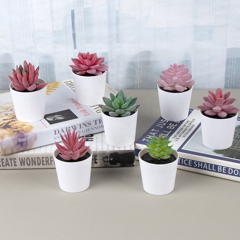 Mini Plastic Pots