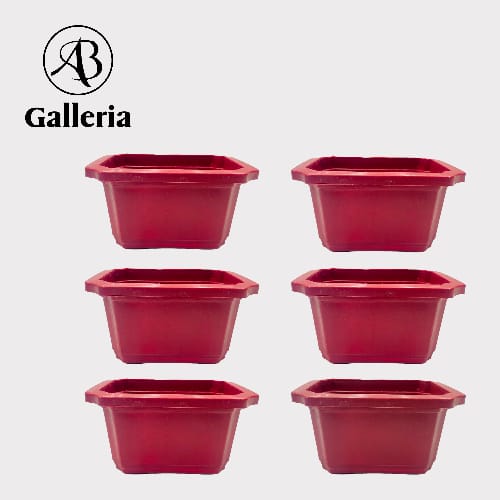 Square Shape Pot Set of 6 pcs Dia: 7.25x5.50inch Height 4 inch SG-116