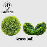 Grass Ball