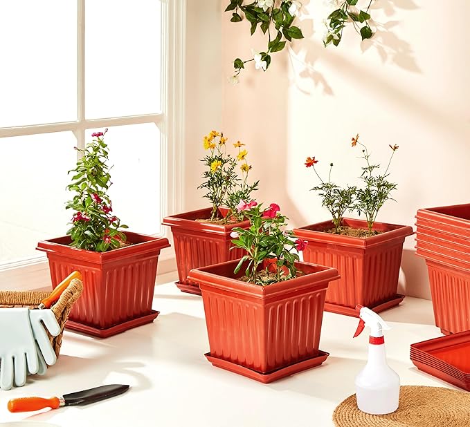 plant pot square shape Square Shape Pots SG-153 – AB Galleria