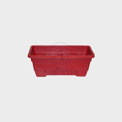 Bed Rose , Kyari & rectangle shape pot