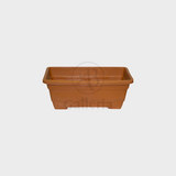 Bed Rose , Kyari & rectangle shape pot