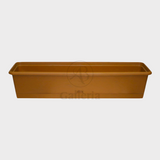 Bed Rose , Kyari & rectangle shape pot Dia